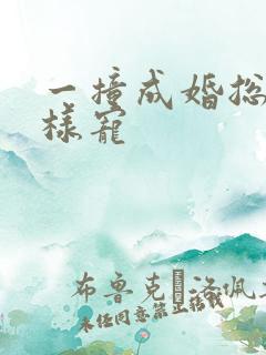 一撞成婚总裁花样宠