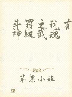 斗罗之我有十大神级武魂