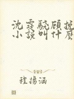 沈霆骁顾挽音的小说叫什么名字