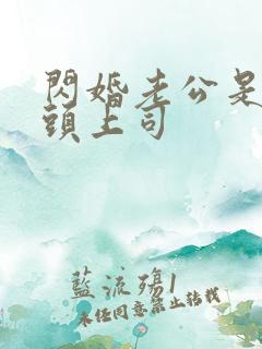 闪婚老公是我顶头上司