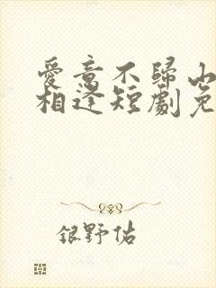 爱意不归山水不相逢短剧免费观看