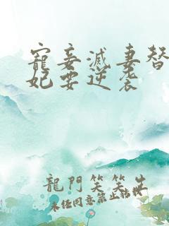 宠妾灭妻替嫁王妃要逆袭