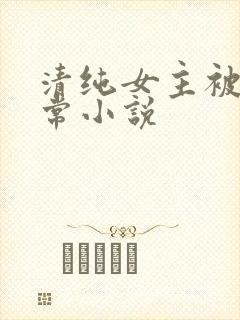 清纯女主被穿日常小说