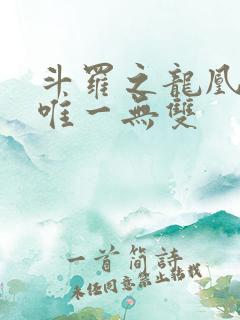 斗罗之龙凰传说唯一无双