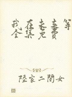 我在未来等你 全集免费