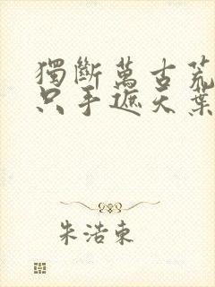 独断万古荒天帝只手遮天叶天帝