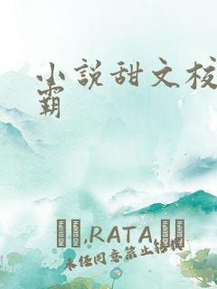 小说甜文校园校霸