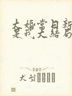 大婚当日新娘不是我大结局