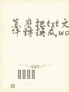 怎么把txt文件转换成word