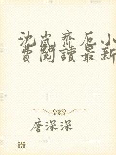 沈岚齐厄小说免费阅读最新章节