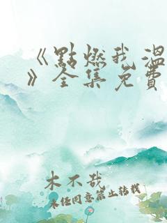 《点燃我温暖你》全集免费观看