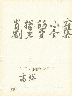 肖总的小宠妻短剧免费全集免费播放