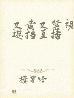 又黄又禁视频无遮挡直播