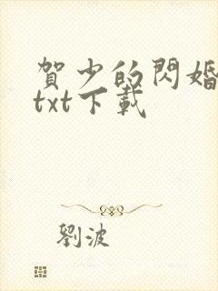 贺少的闪婚暖妻txt下载
