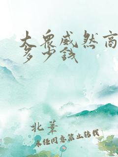 大众威然商务车多少钱