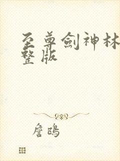 至尊剑神林辰完整版