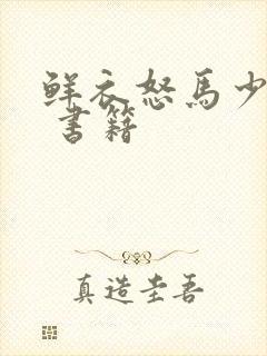 鲜衣怒马少年时 书籍