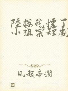 陆总我怀了你的小祖宗短剧免费