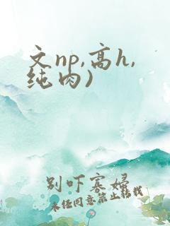 文np,高h,纯肉)