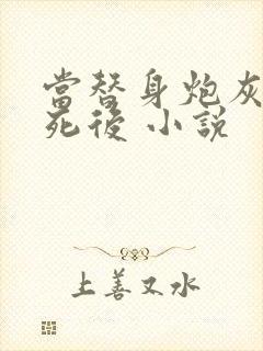 当替身炮灰的我死后 小说