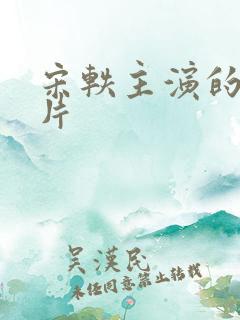 宋轶主演的谍战片