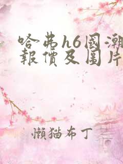 哈弗h6国潮版报价及图片