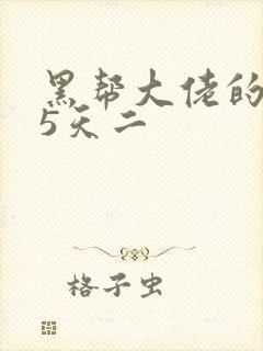 黑帮大佬的365天二