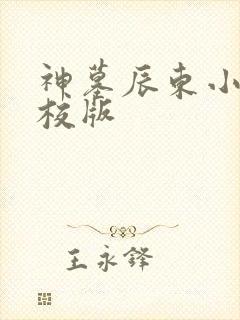 神墓辰东小说精校版