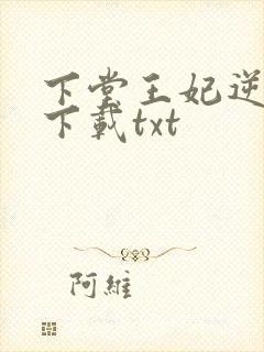 下堂王妃逆袭记下载txt