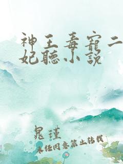 神王毒宠二嫁王妃听小说