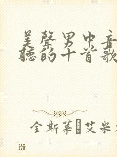 美声男中音最好听的十首歌