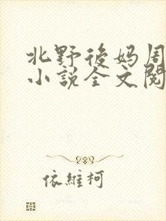 北野后妈周继烨小说全文阅读