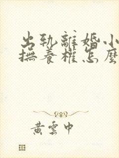 出轨离婚小孩子抚养权怎么判定