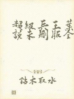 超级兵王叶谦小说未删版全文免费阅读