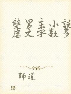 双男主小说推荐虐文字数多