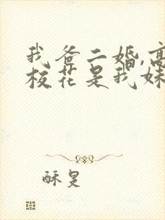 我爸二婚,高冷校花是我妹演员表