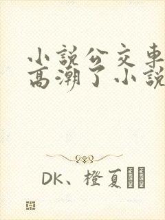 小说公交车被上高潮了小说