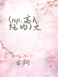 (np,高h,纯肉)文