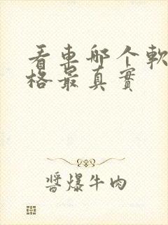 看车哪个软件价格最真实