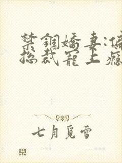 禁锢娇妻:偏执总裁宠上瘾