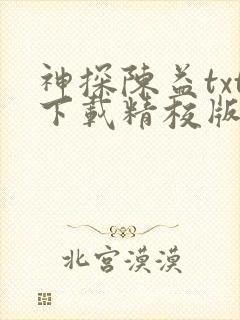 神探陈益txt下载精校版