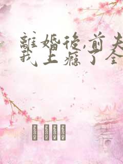 离婚后,前夫追我上瘾了全文小说