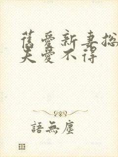 旧爱新妻总裁前夫爱不得