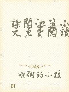 谢闻池宁小说全文免费阅读