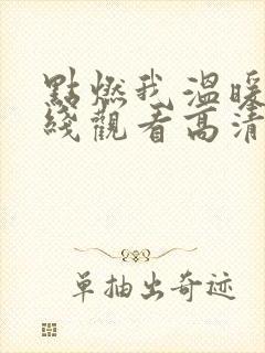 点燃我温暖你在线观看高清免费