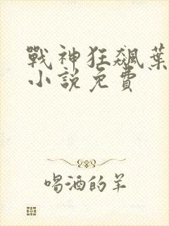 战神狂飙叶无缺小说免费