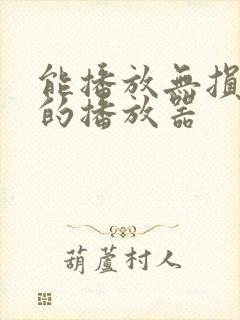 能播放无损音乐的播放器