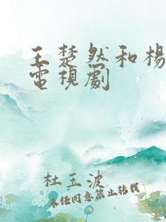 王楚然和杨洋的电视剧