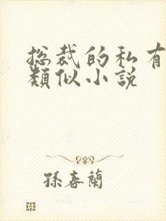 总裁的私有宝贝类似小说