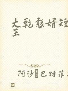 大乾憨婿短剧男主